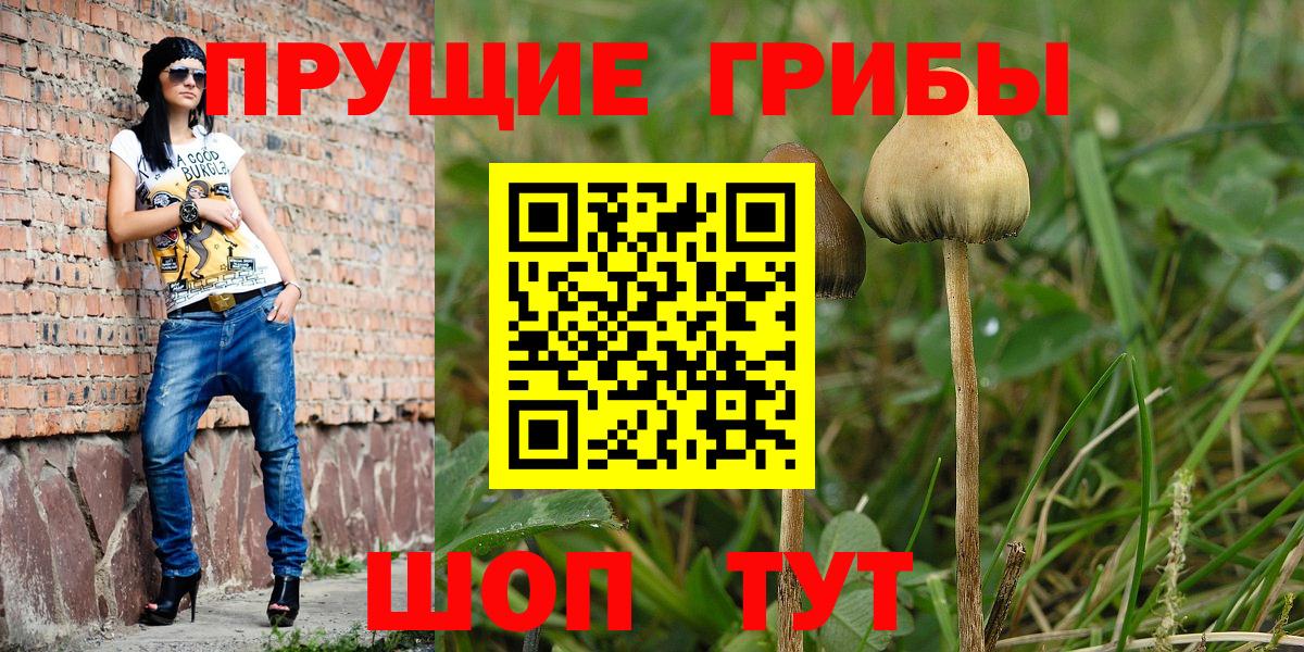закладка  Галлюциногенные грибы GOLDEN TEACHER  Рузаевка  Вход с VPN  Галлюциногенные грибы GOLDEN TEACHER 